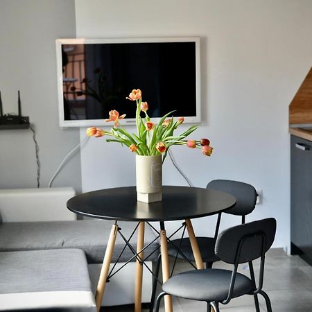 Cozy Apartment Slăntjev Brjag Exteriör bild